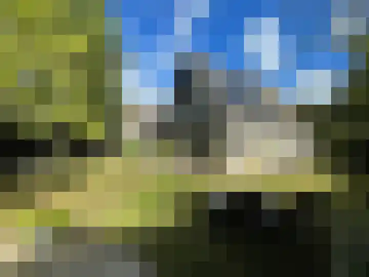 Esdoornstraat 6 's-Gravenpolder thumbnail 30