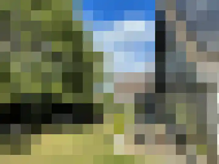 Esdoornstraat 6 's-Gravenpolder thumbnail 31