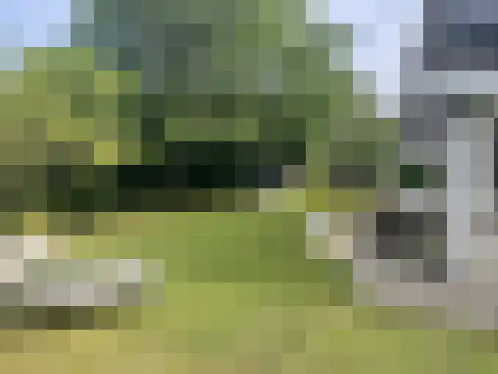 Esdoornstraat 6 's-Gravenpolder thumbnail 32
