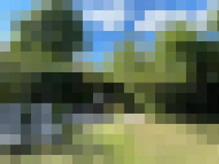 Esdoornstraat 6 's-Gravenpolder thumbnail 33
