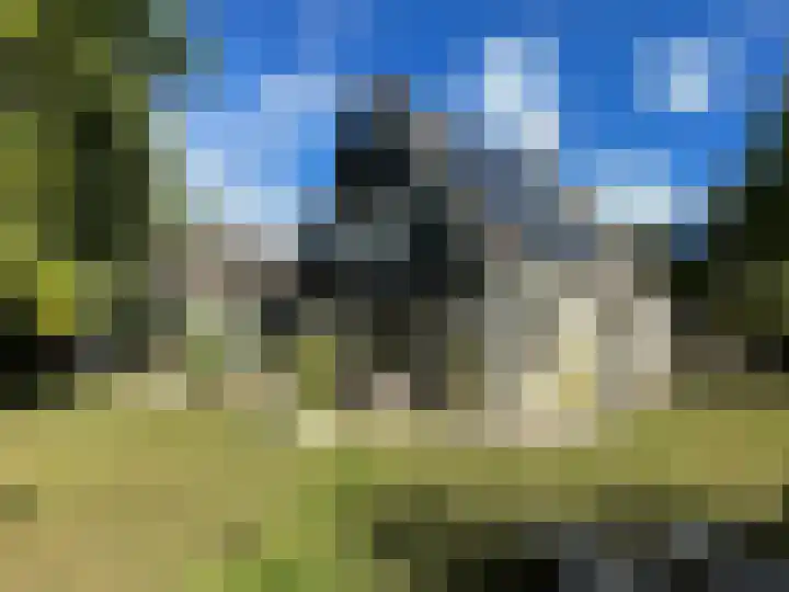 Esdoornstraat 6 's-Gravenpolder thumbnail 40