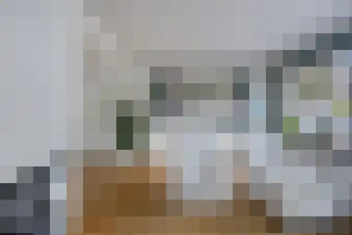 Esdoornstraat 6 's-Gravenpolder thumbnail 5