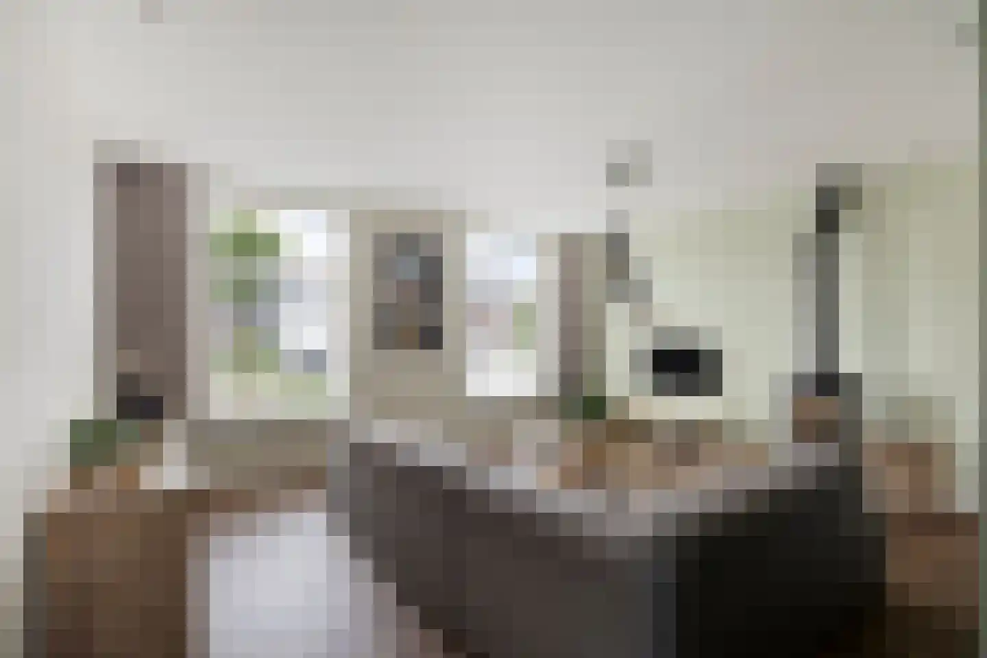 Esdoornstraat 60 Someren thumbnail 16
