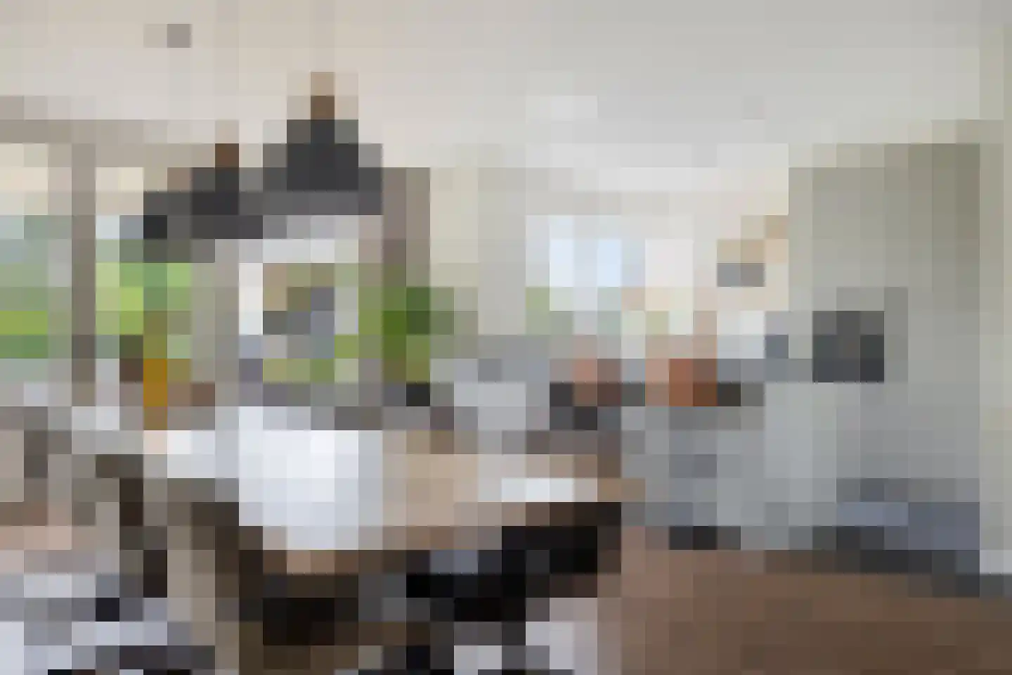 Esdoornstraat 60 Someren thumbnail 24