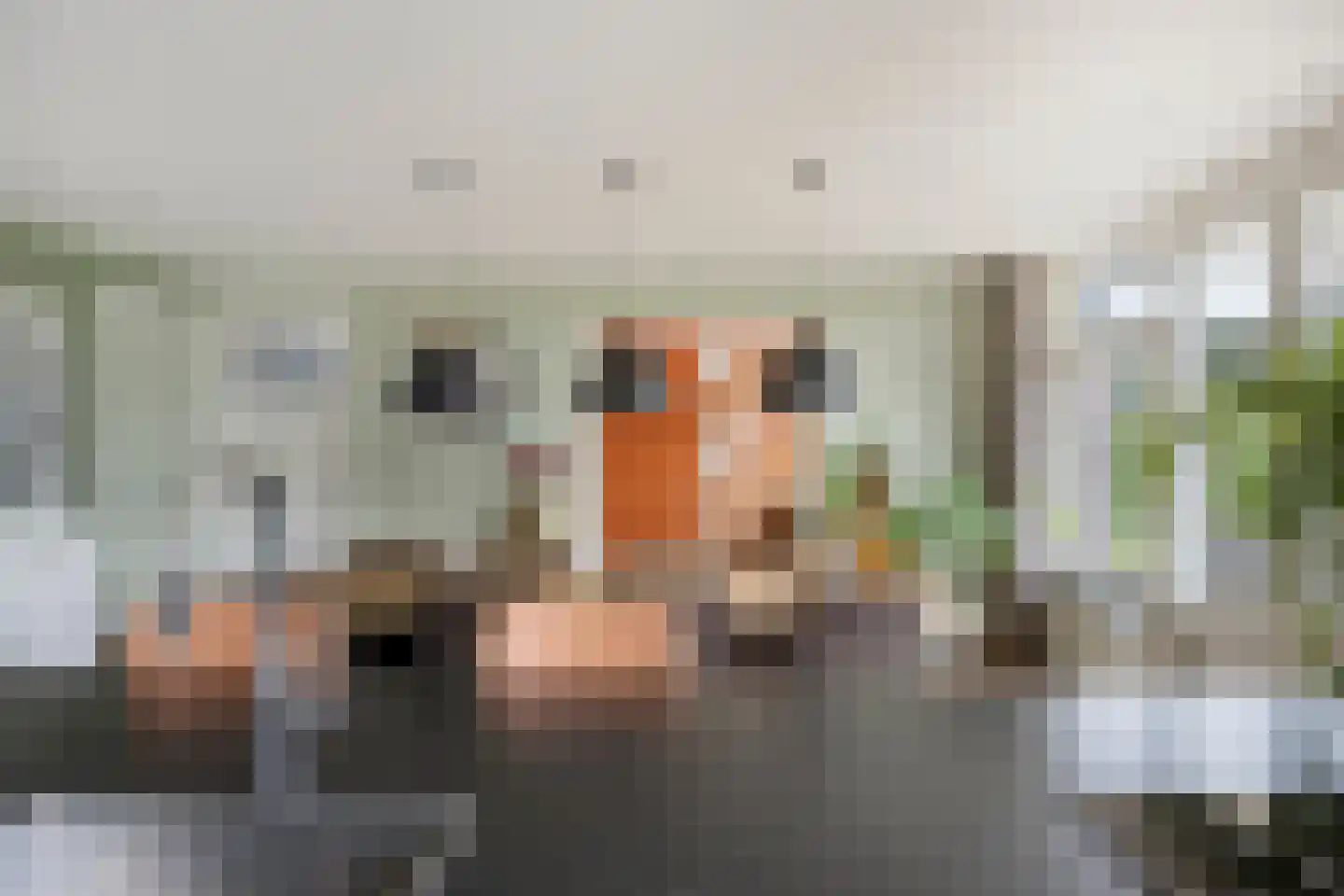 Esdoornstraat 60 Someren thumbnail 30