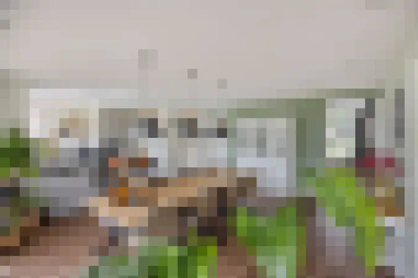 Esdoornstraat 60 Someren thumbnail 31