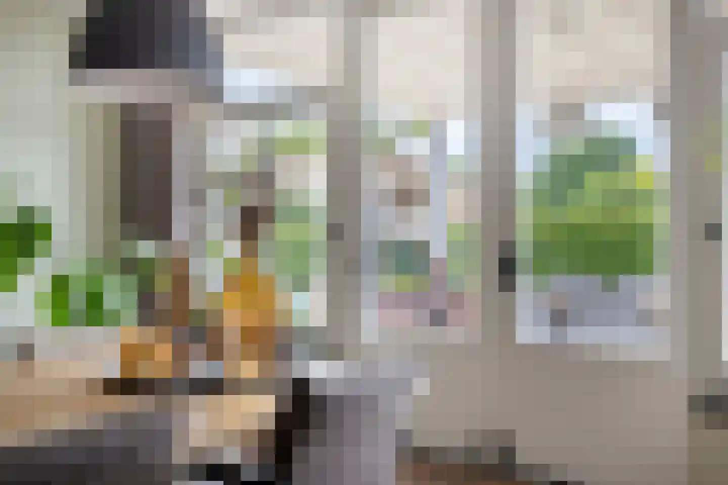 Esdoornstraat 60 Someren thumbnail 33