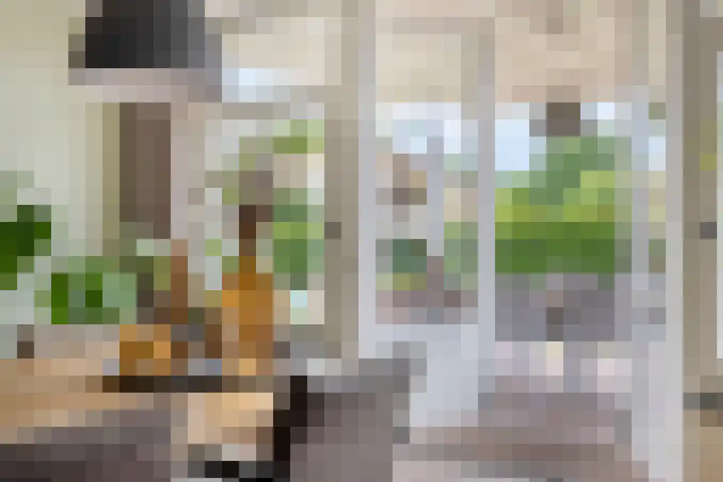 Esdoornstraat 60 Someren thumbnail 34