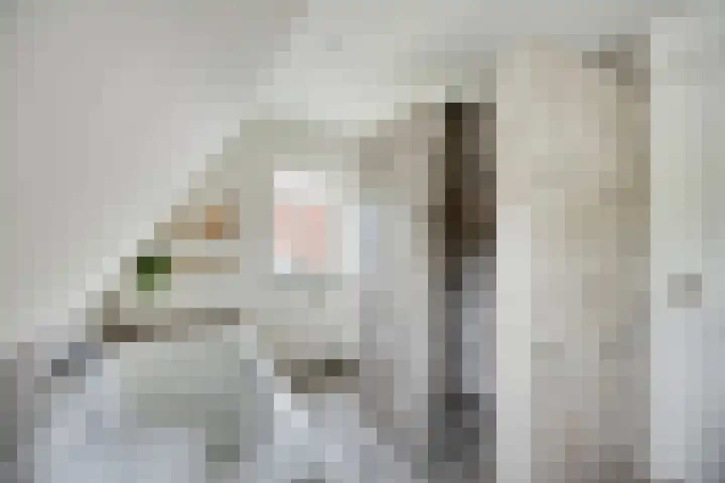 Esdoornstraat 60 Someren thumbnail 51