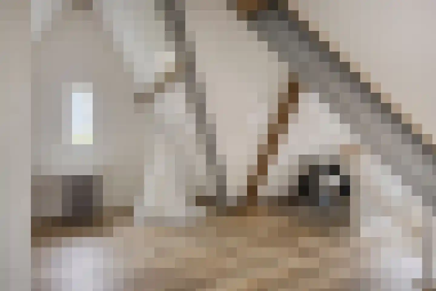 Esdoornstraat 60 Someren thumbnail 59