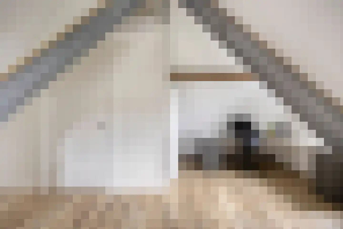 Esdoornstraat 60 Someren thumbnail 60