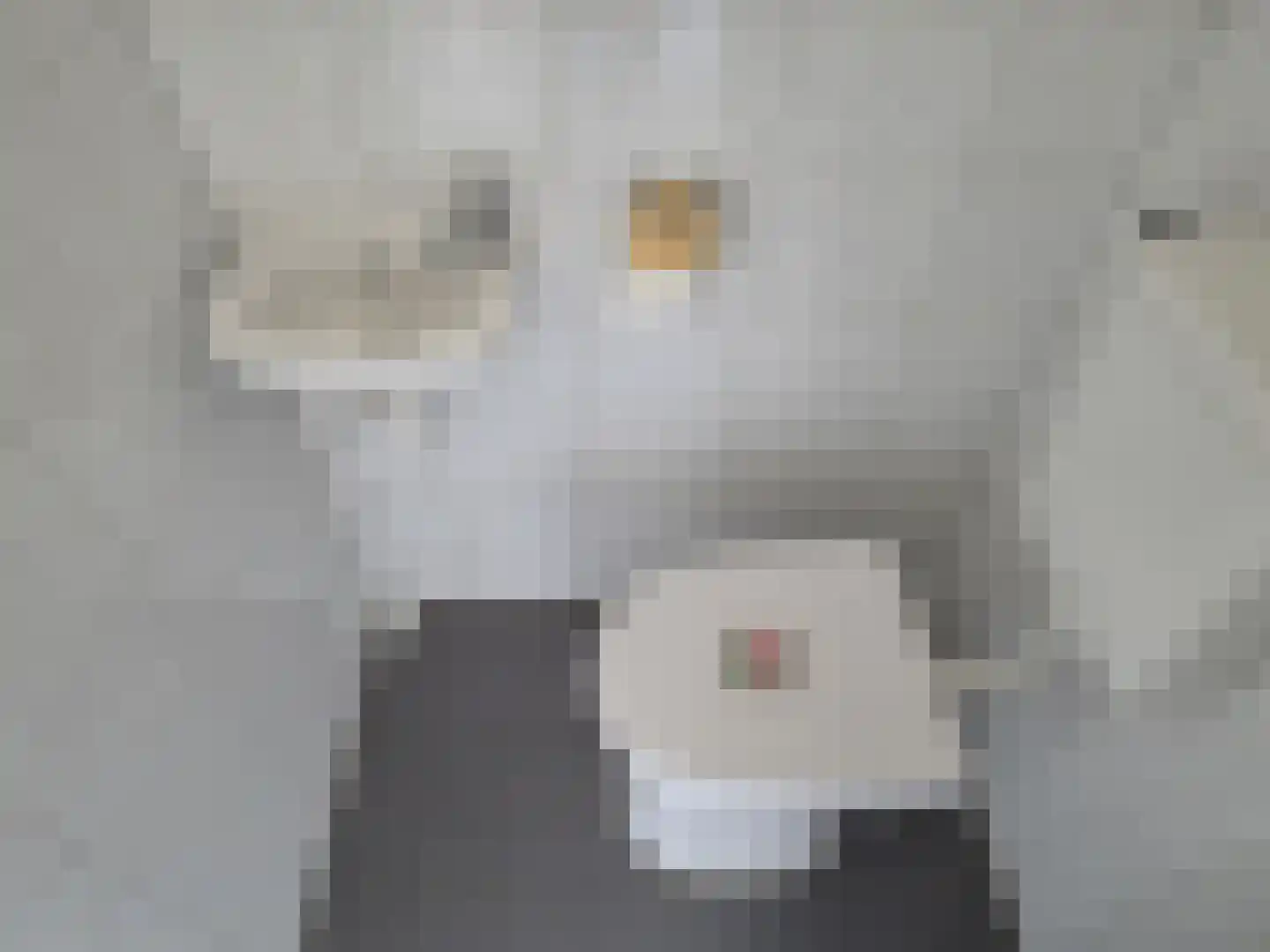 Esdoornstraat 7 Heerle thumbnail 8