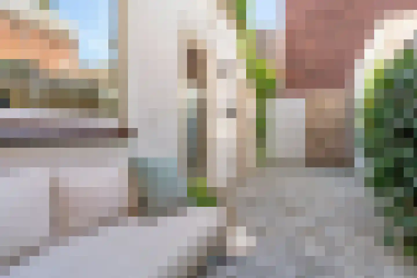 Esdoornstraat 7 's-Hertogenbosch thumbnail 20