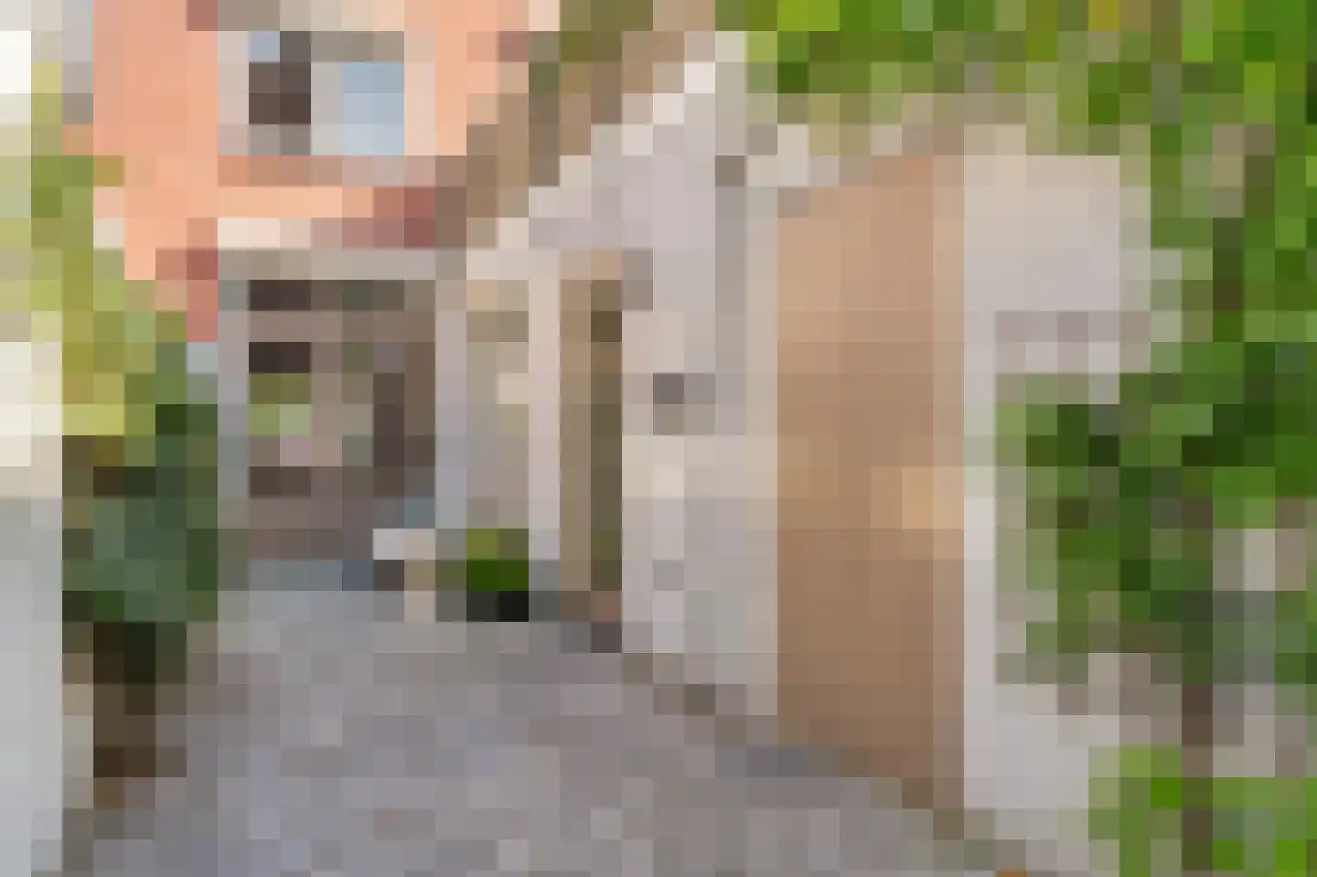 Esdoornstraat 7 's-Hertogenbosch thumbnail 21