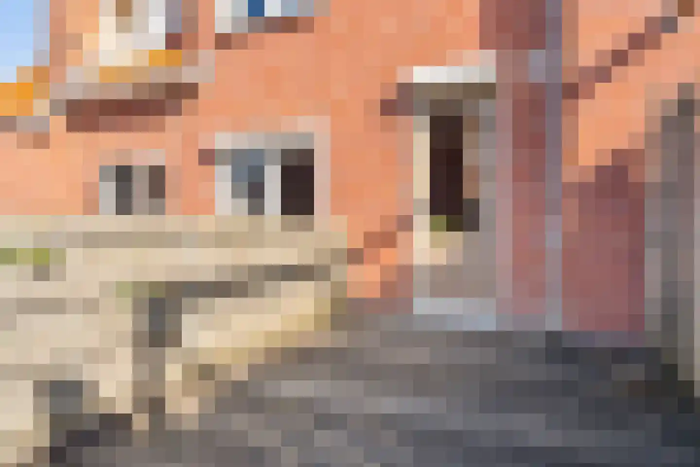 Esdoornstraat 7 's-Hertogenbosch thumbnail 31