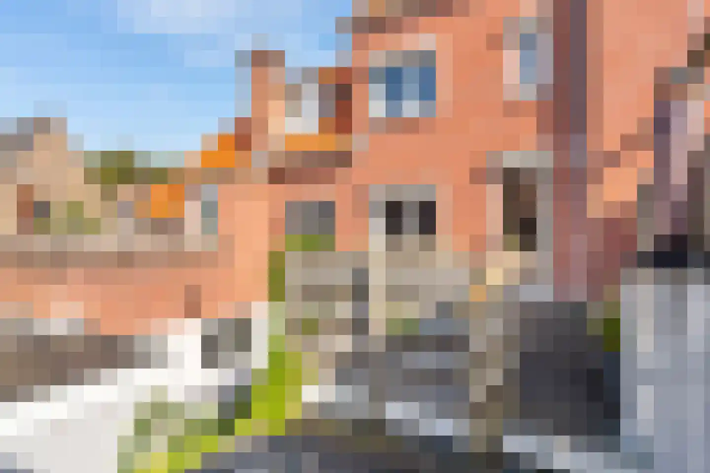 Esdoornstraat 7 's-Hertogenbosch thumbnail 33
