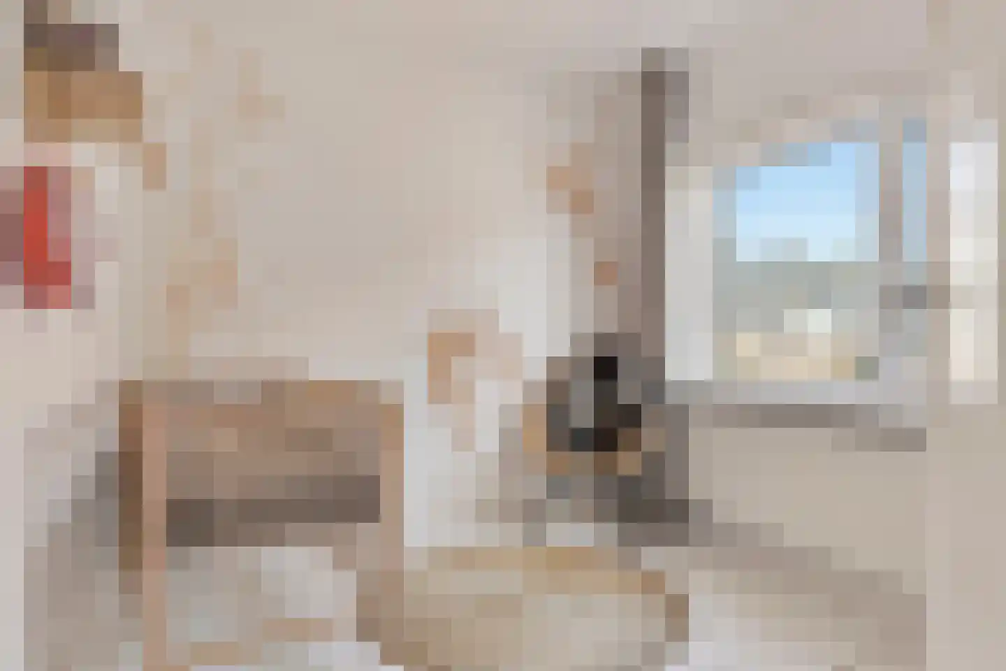 Esdoornstraat 7 's-Hertogenbosch thumbnail 34