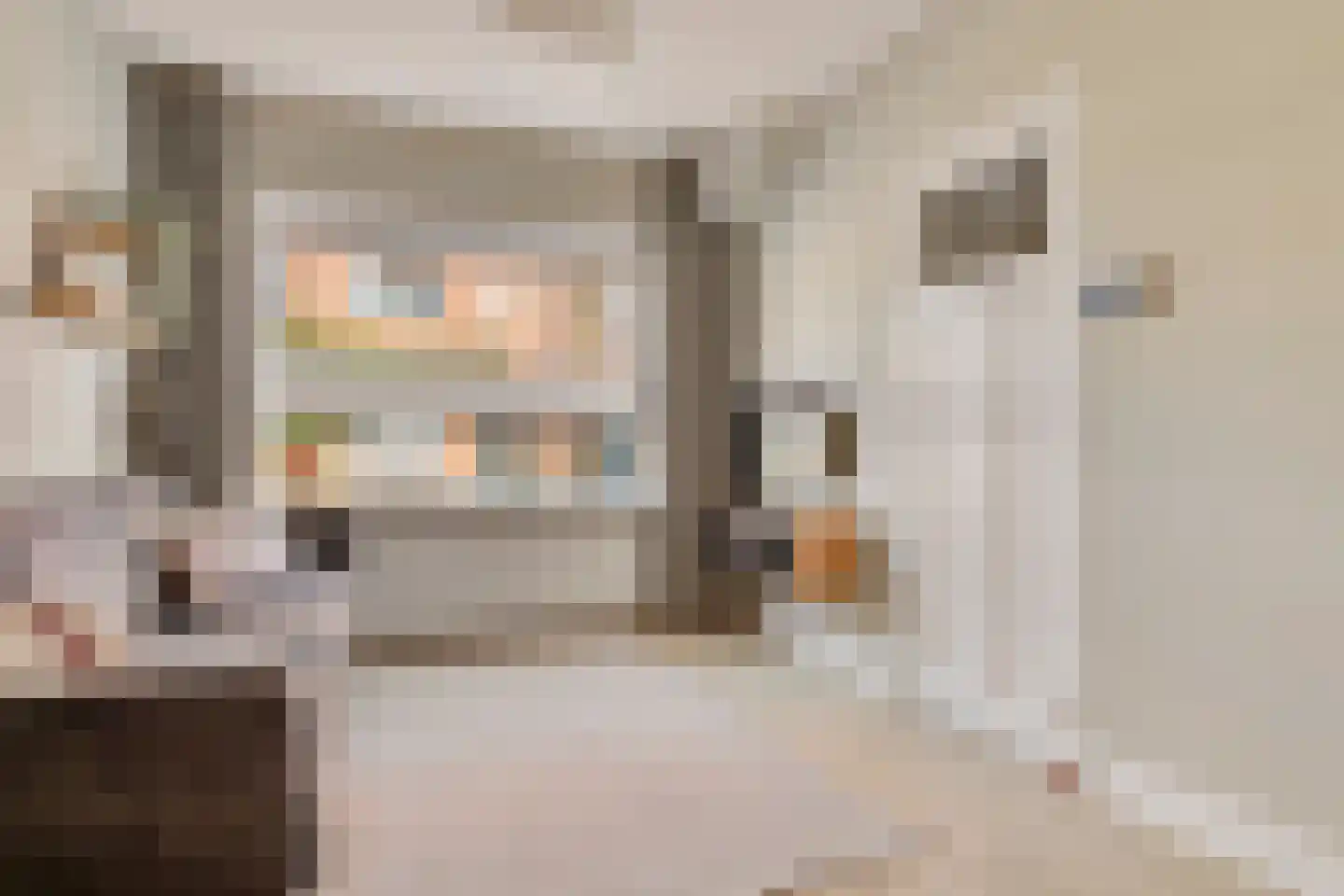 Esdoornstraat 7 's-Hertogenbosch thumbnail 5