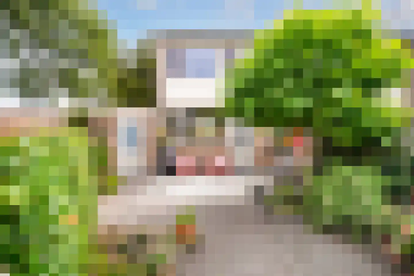 Esdoornstraat 73 Oost-Souburg thumbnail 28