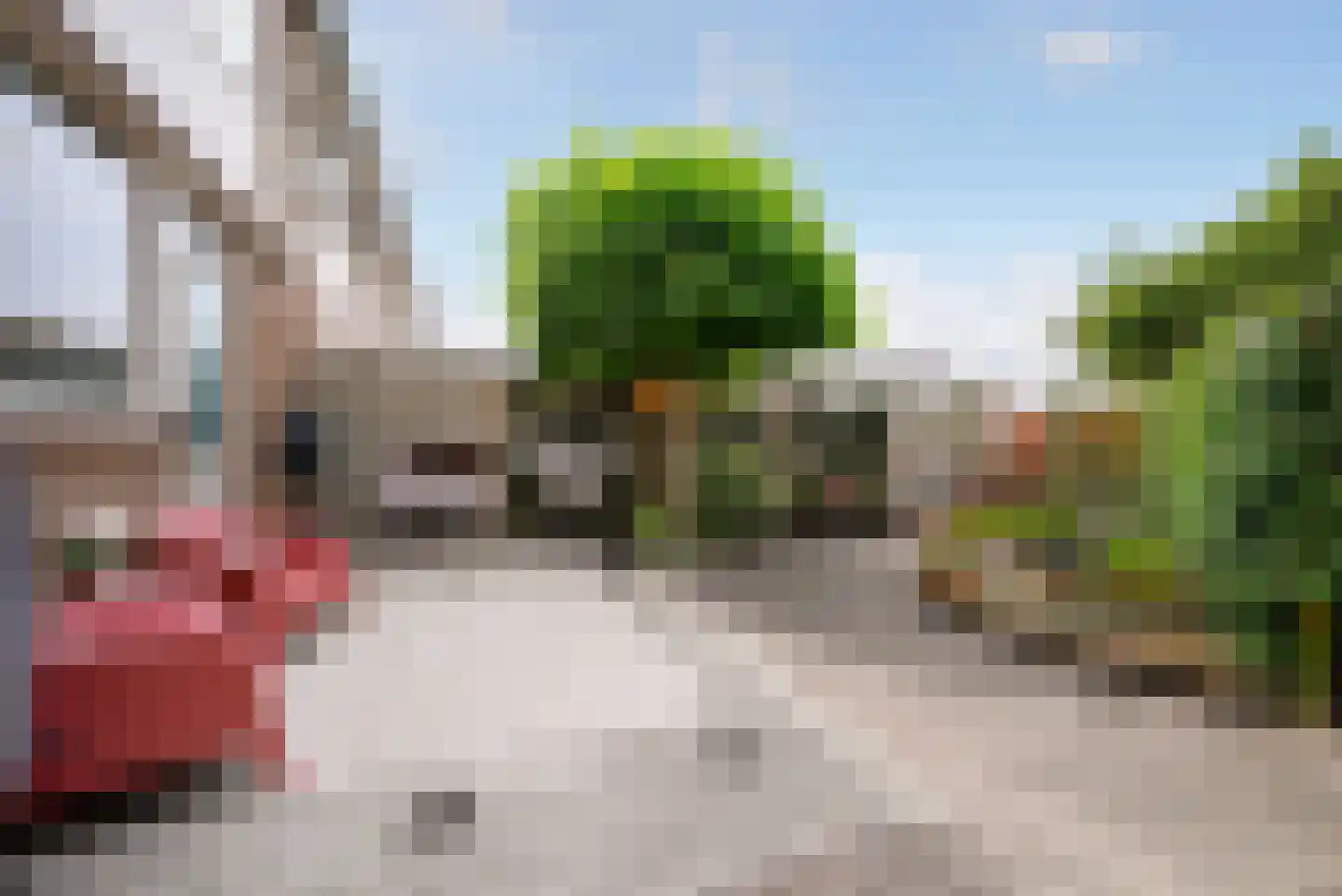 Esdoornstraat 73 Oost-Souburg thumbnail 30