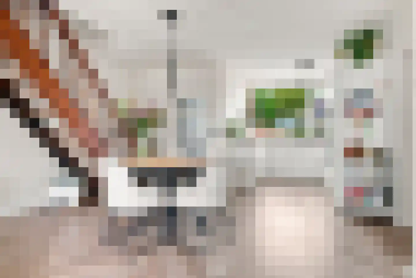 Esdoornstraat 73 Oost-Souburg thumbnail 6