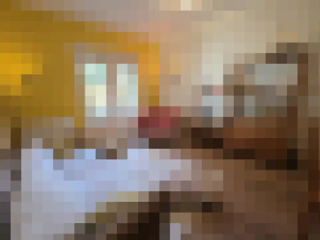 Esdoornstraat 73 Utrecht thumbnail 4