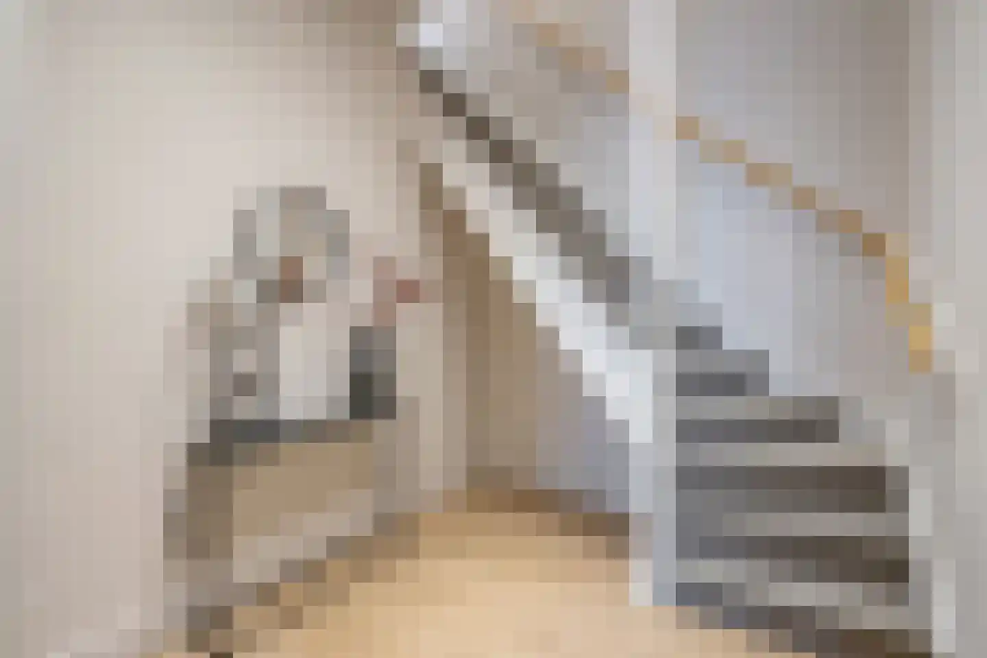 Esdoornstraat 77 Den Haag thumbnail 5