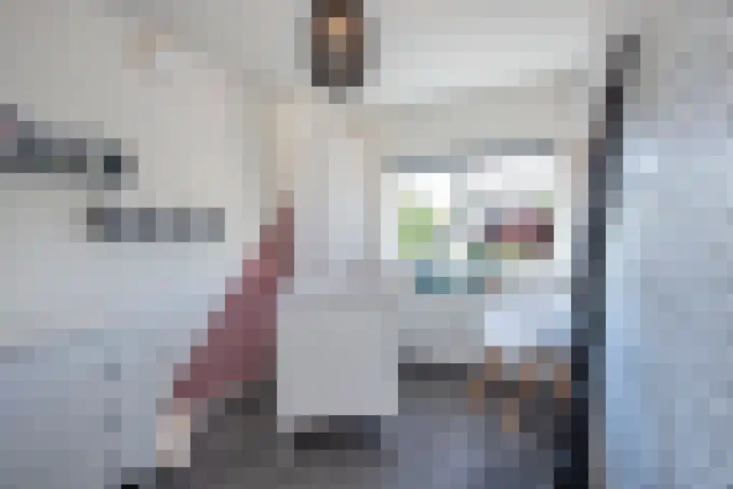 Esdoornstraat 8 Hengelo thumbnail 28