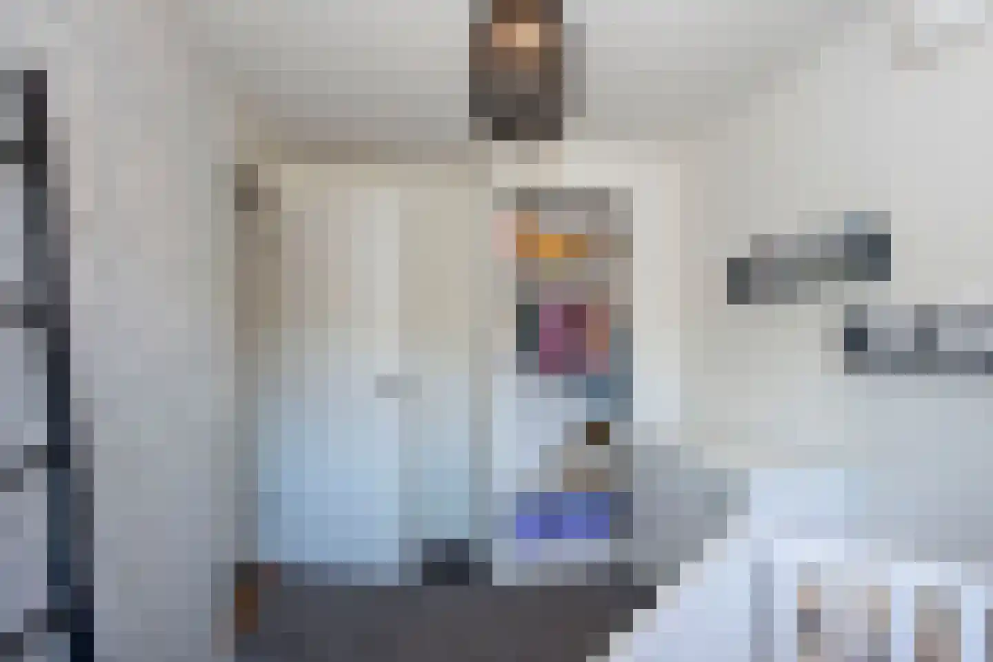Esdoornstraat 8 Hengelo thumbnail 30