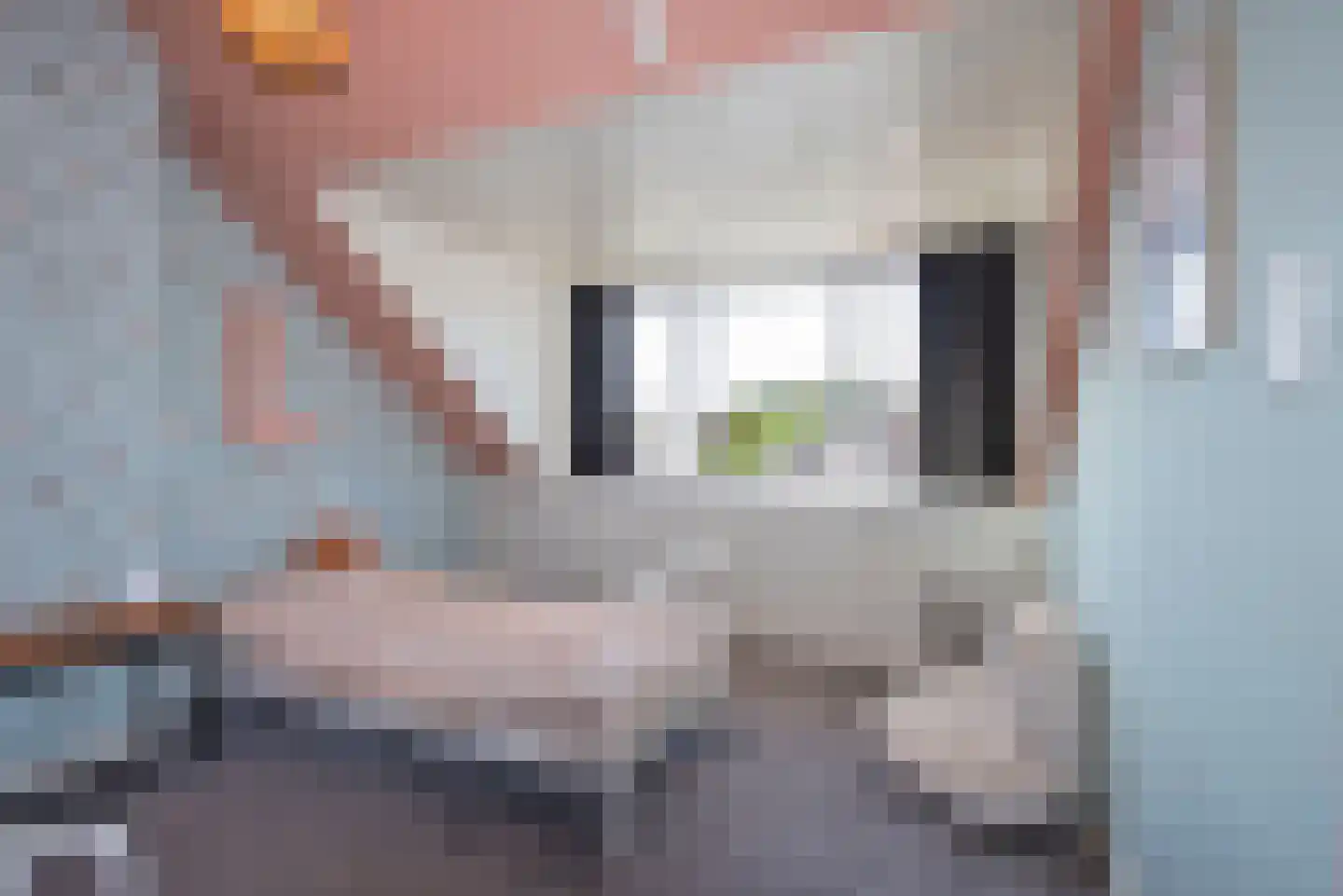 Esdoornstraat 8 Hengelo thumbnail 32