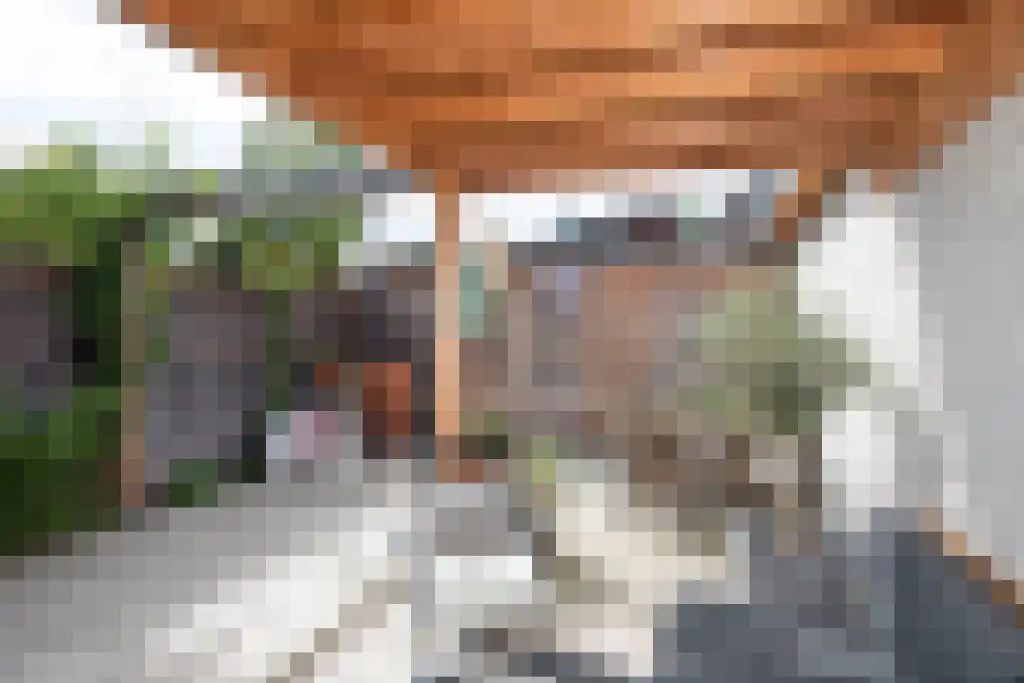 Esdoornstraat 8 Hengelo thumbnail 35
