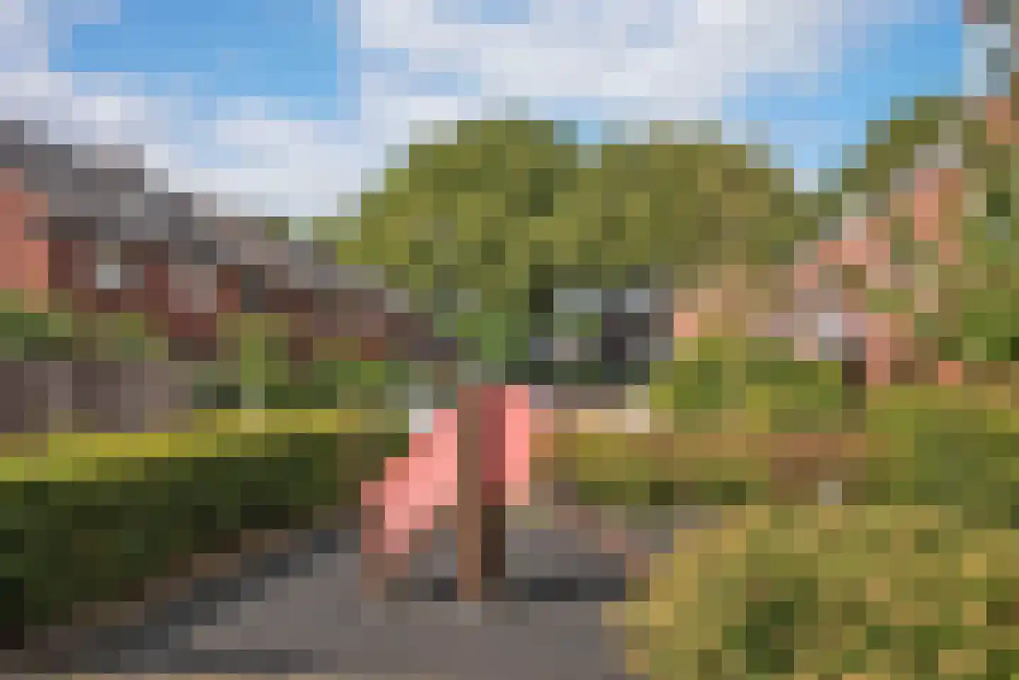 Esdoornstraat 8 Hengelo thumbnail 43