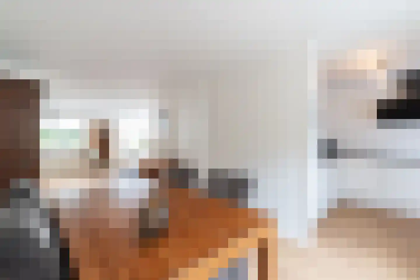 Esdoornstraat 8 Noordhorn thumbnail 13