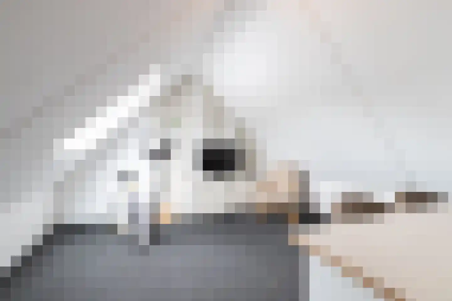 Esdoornstraat 8 Noordhorn thumbnail 39