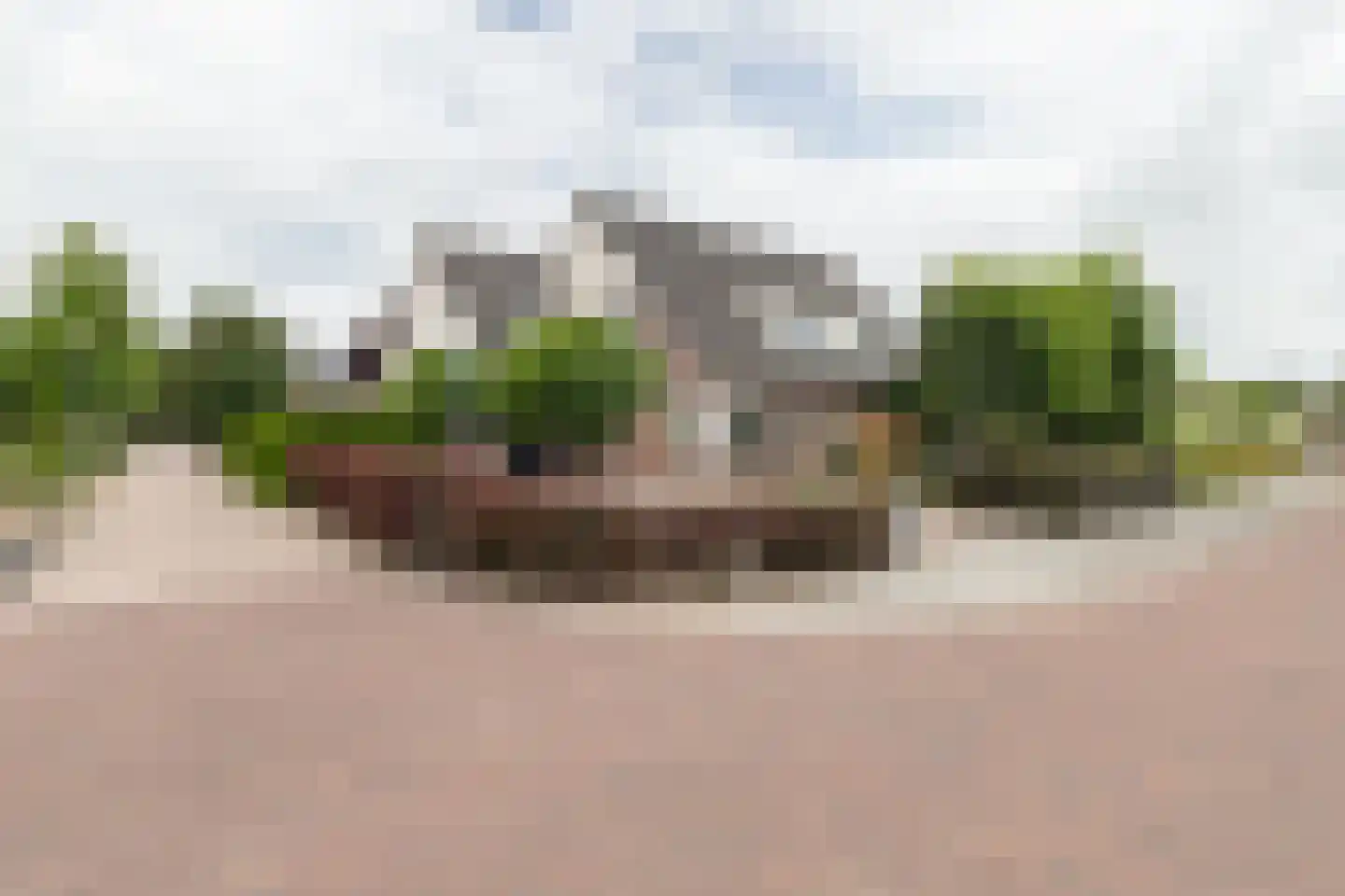 Esdoornstraat 8 Noordhorn thumbnail 4