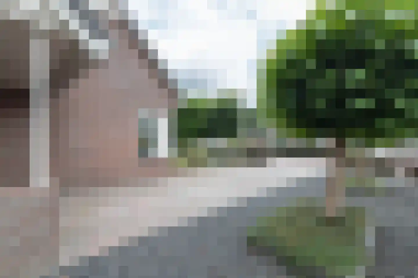 Esdoornstraat 8 Noordhorn thumbnail 43