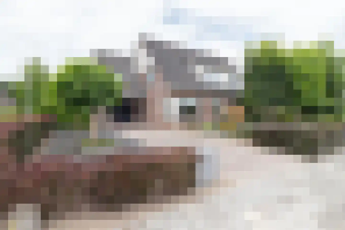 Esdoornstraat 8 Noordhorn thumbnail 45