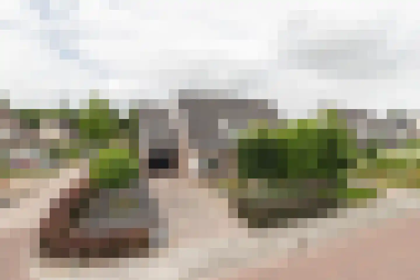 Esdoornstraat 8 Noordhorn thumbnail 46