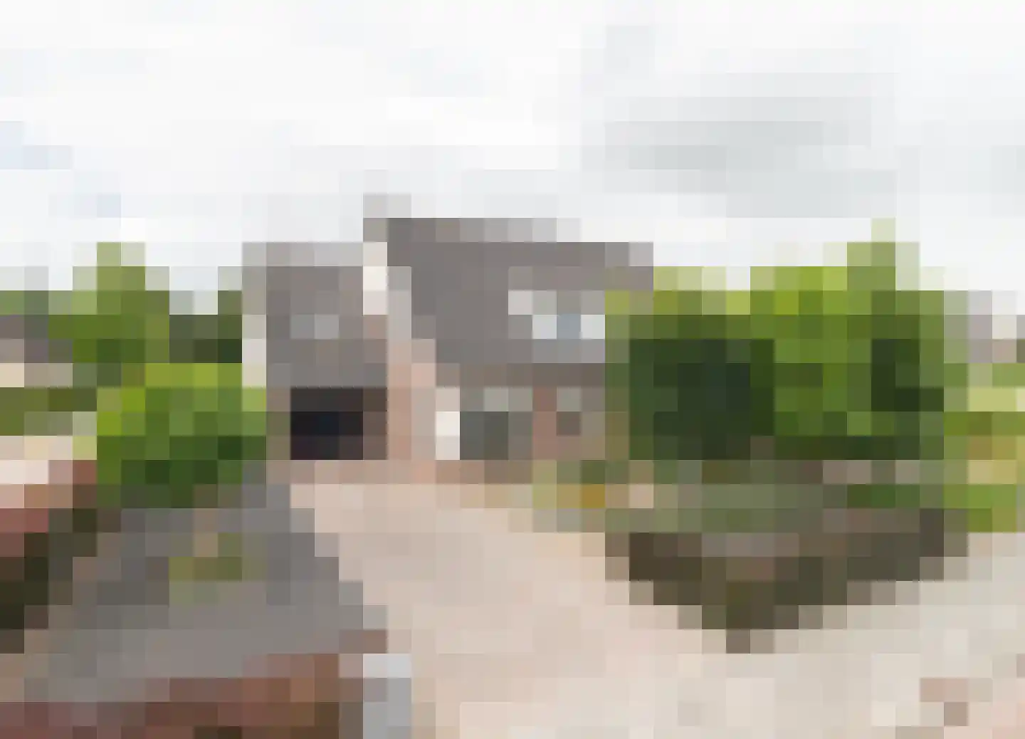 Esdoornstraat 8 Noordhorn thumbnail 5