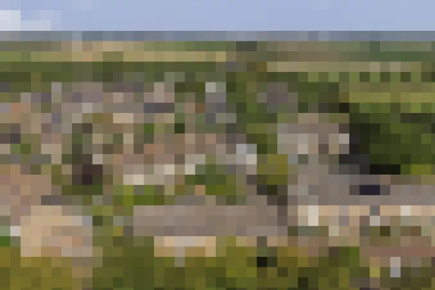 Esdoornstraat 82 's-Gravenpolder thumbnail 52