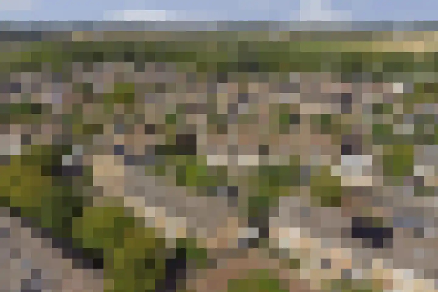 Esdoornstraat 82 's-Gravenpolder thumbnail 53