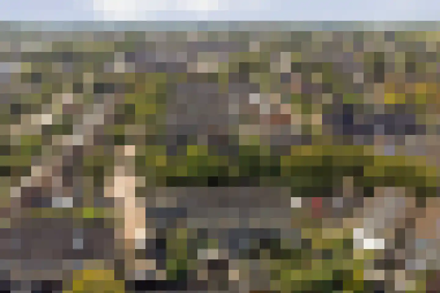 Esdoornstraat 82 's-Gravenpolder thumbnail 54