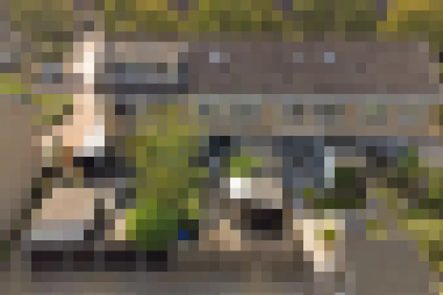 Esdoornstraat 82 's-Gravenpolder thumbnail 55