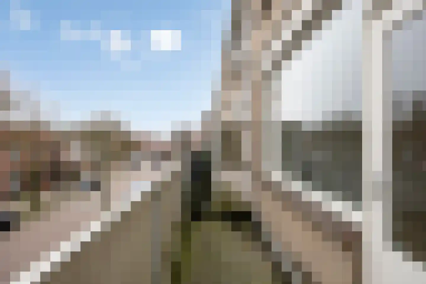 Esdoornstraat 85 's-Hertogenbosch thumbnail 11