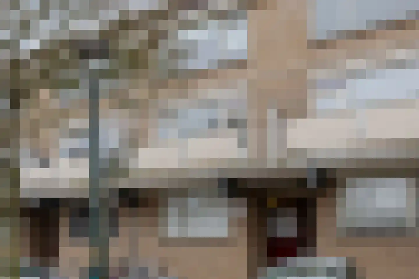 Esdoornstraat 85 's-Hertogenbosch thumbnail 19