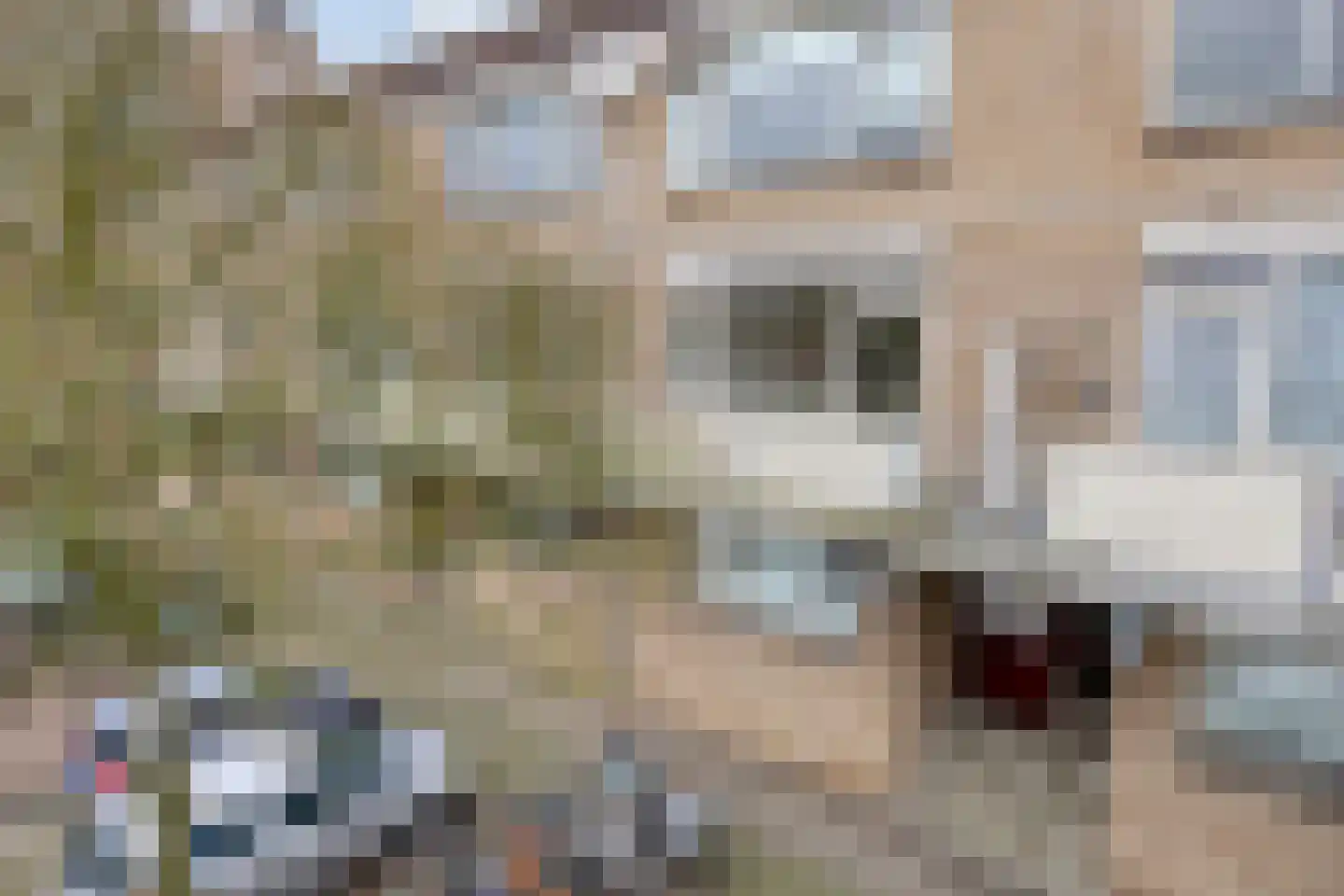 Esdoornstraat 85 's-Hertogenbosch thumbnail 20
