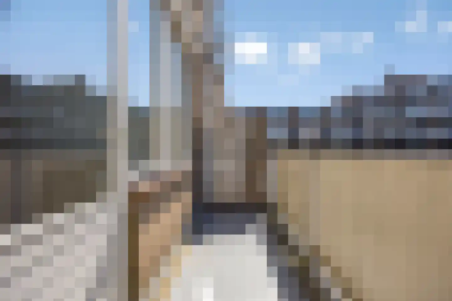 Esdoornstraat 87 's-Hertogenbosch thumbnail 22