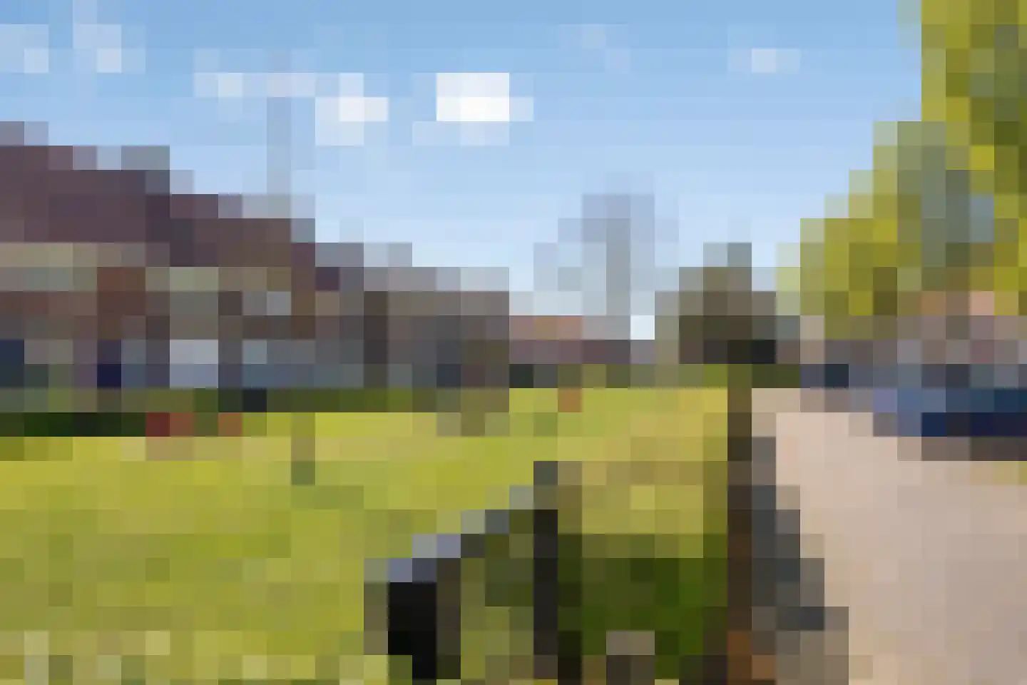 Esdoornstraat 87 's-Hertogenbosch thumbnail 26
