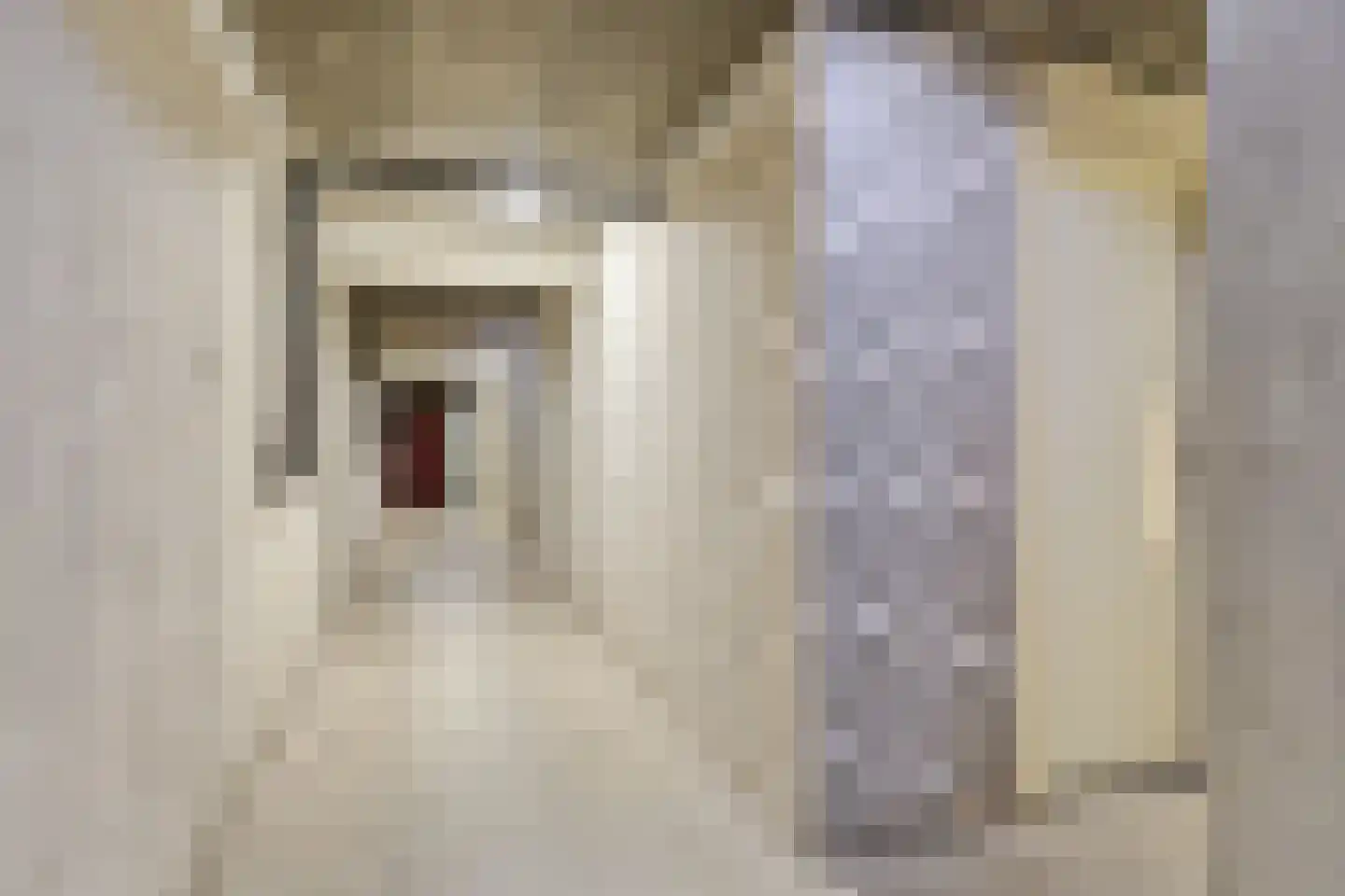 Esdoornstraat 89 's-Hertogenbosch thumbnail 22