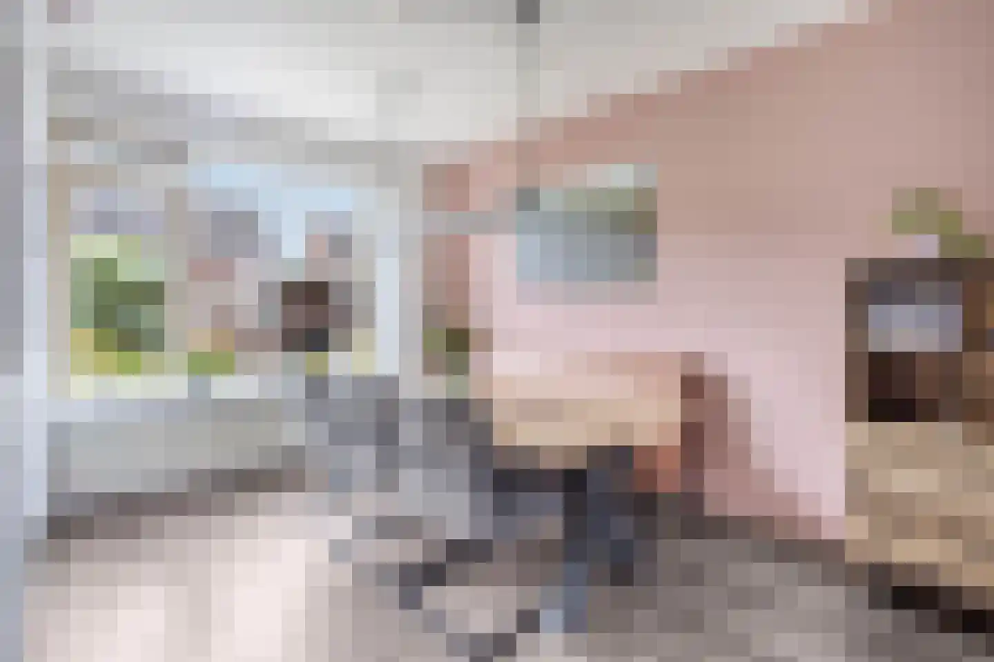 Esdoornstraat 9 Brakel thumbnail 10